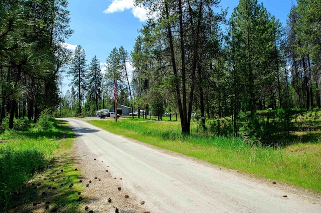 191 Amherst Ln, Newport, WA 99156 - view of dirt / gravel road