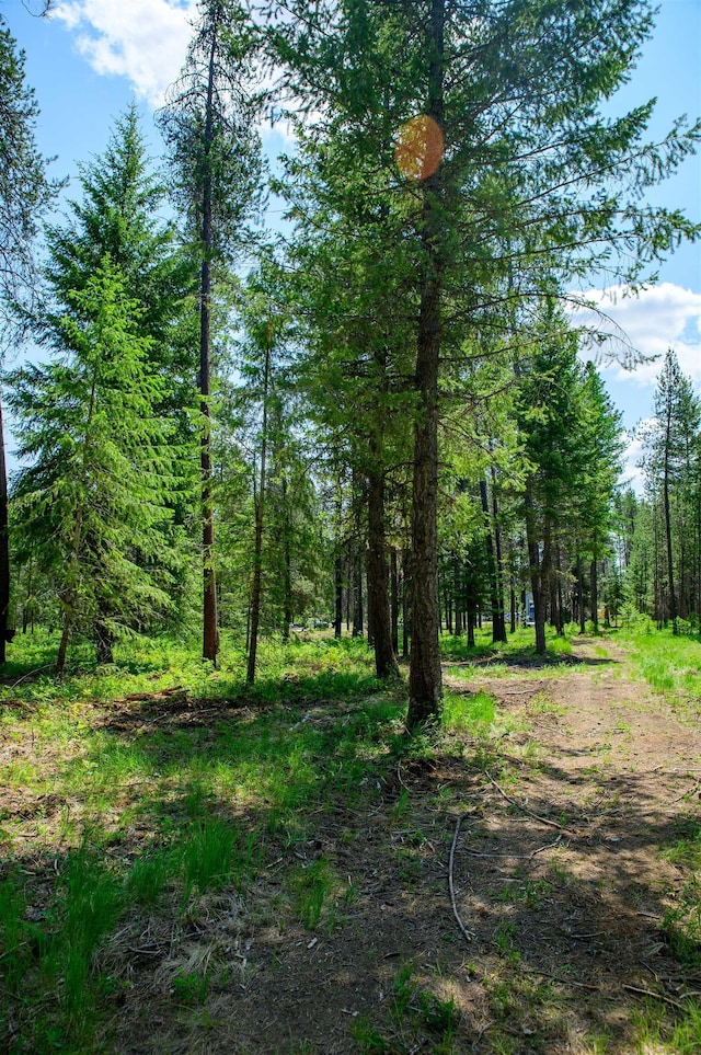 191 Amherst Ln, Newport, WA 99156 - view of wooded area