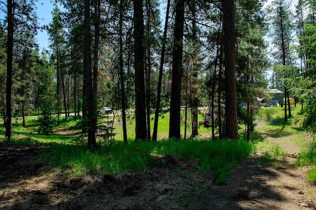 191 Amherst Ln, Newport, WA 99156 - view of nature
