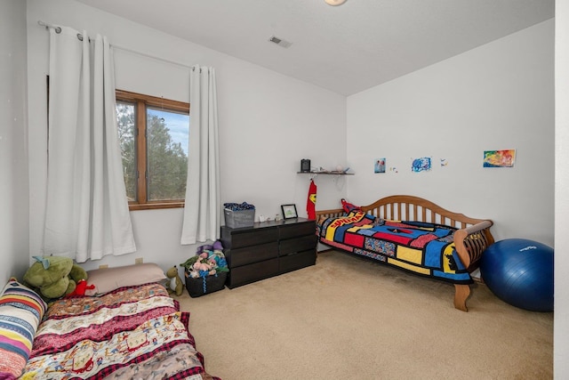 21407 W Baker Rd, Cheney, WA 99004 - bedroom with carpet