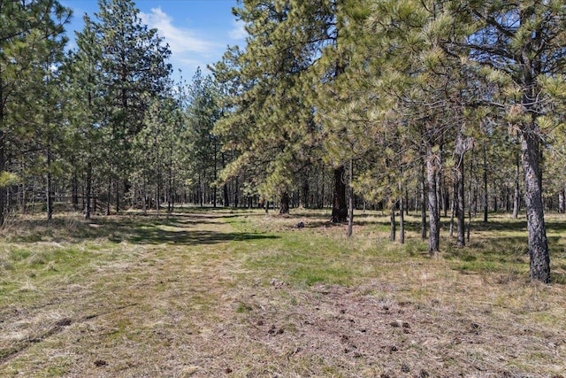 16409 N Birdie Rd, Nine Mile Falls, WA 99026 - photo 42