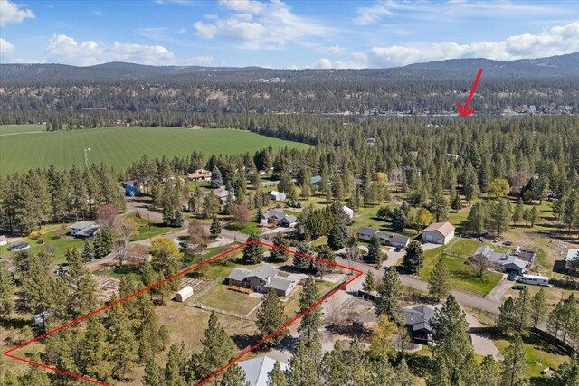 16409 N Birdie Rd, Nine Mile Falls, WA 99026 - photo 47