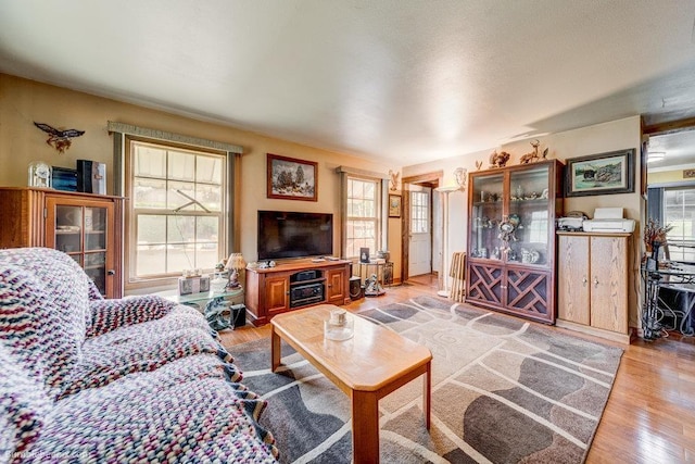 203 N Mcdonald Rd, Spokane, WA 99216 - living area with light wood-style floors
