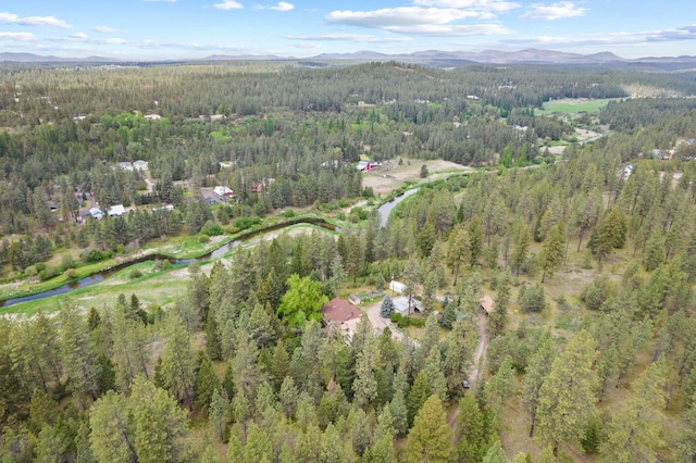 28003 N Hardesty Rd, Chattaroy, WA 99003 - photo 39