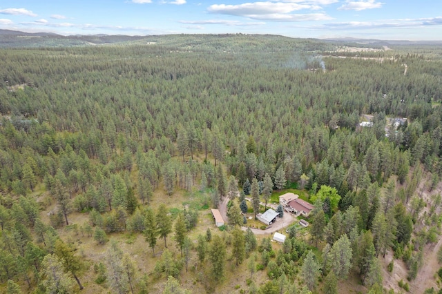 28003 N Hardesty Rd, Chattaroy, WA 99003 - photo 41