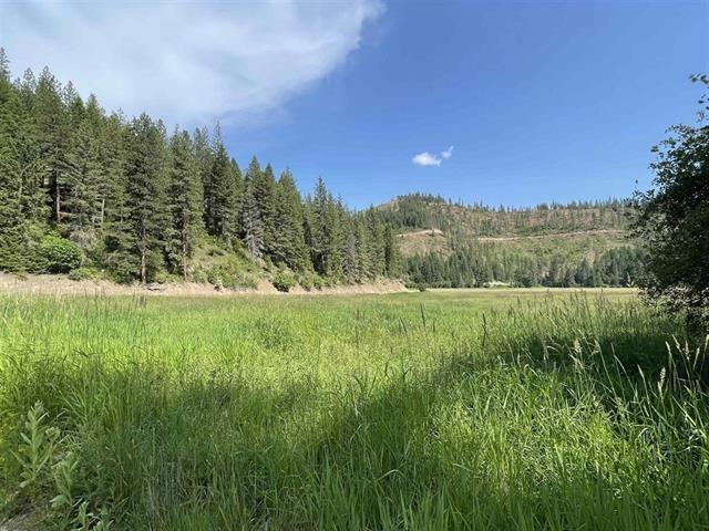41XX N Deer Lake Rd, Loon Lake, WA 99148 - photo 2