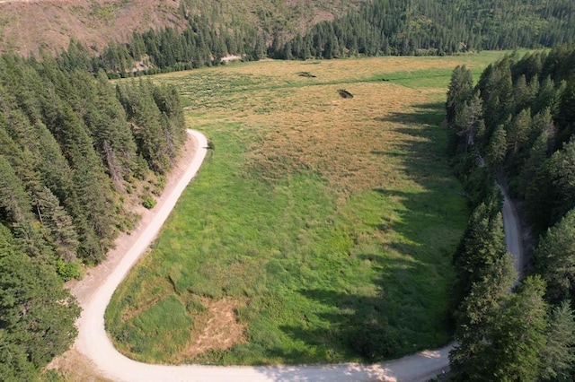 41XX N Deer Lake Rd, Loon Lake, WA 99148 - photo 3