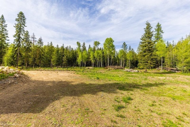 3600 W Jumpoff Rd, Valley, WA 99181 - photo 12