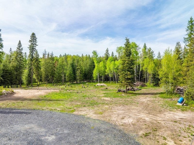 3600 W Jumpoff Rd, Valley, WA 99181 - photo 13