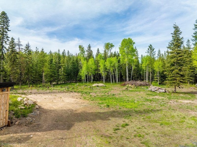 3600 W Jumpoff Rd, Valley, WA 99181 - photo 14