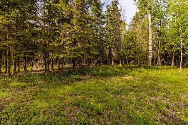 3600 W Jumpoff Rd, Valley, WA 99181 - photo 16