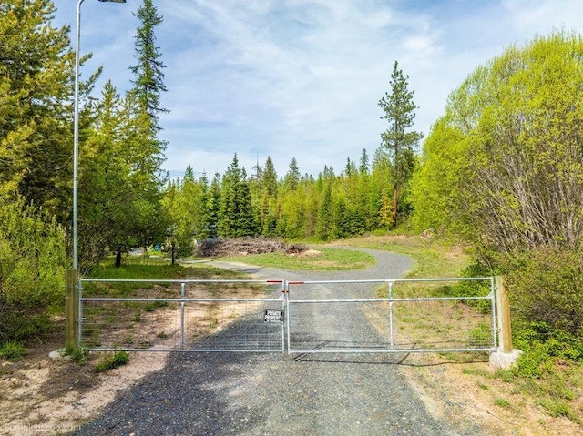 3600 W Jumpoff Rd, Valley, WA 99181 - photo 4