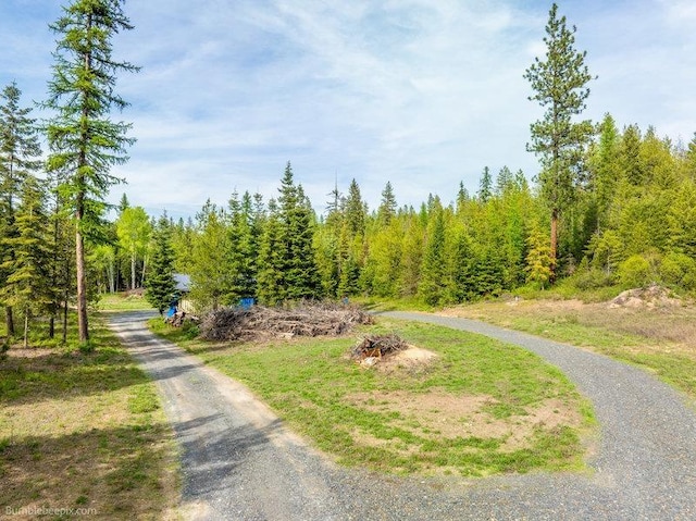 3600 W Jumpoff Rd, Valley, WA 99181 - photo 5