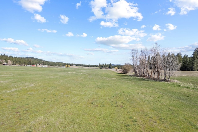 4617 Bellstar Rd, Clayton, WA 99110 - photo 12