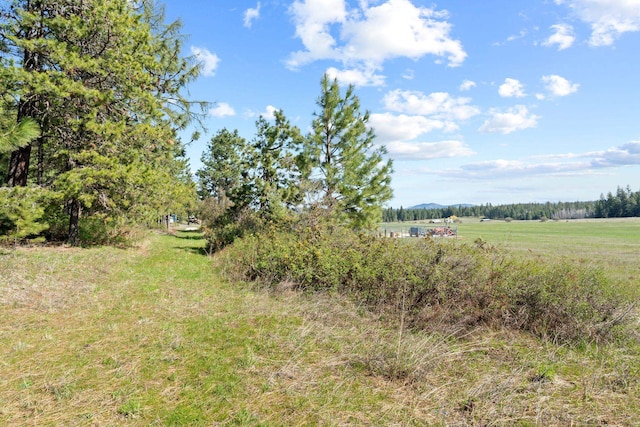 4617 Bellstar Rd, Clayton, WA 99110 - photo 15