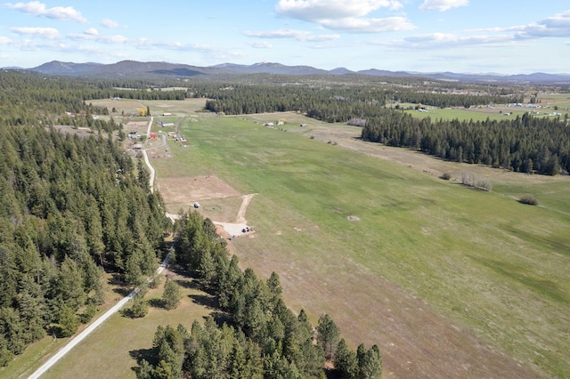 4617 Bellstar Rd, Clayton, WA 99110 - photo 18