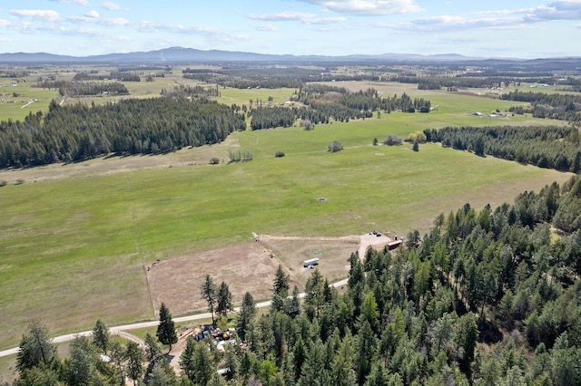 4617 Bellstar Rd, Clayton, WA 99110 - photo 7