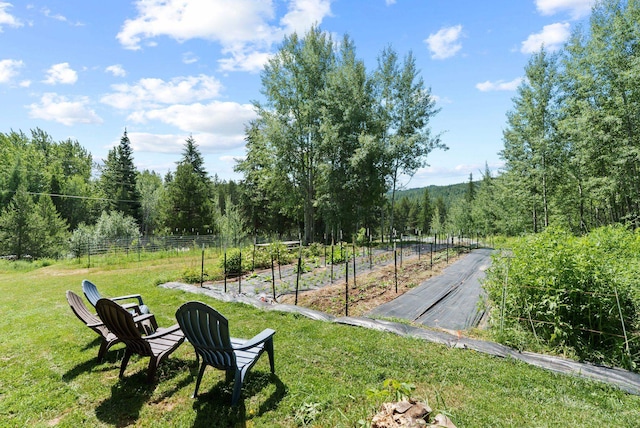 12 Country Ln, Newport, WA 99156 - photo 30