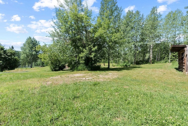12 Country Ln, Newport, WA 99156 - photo 33