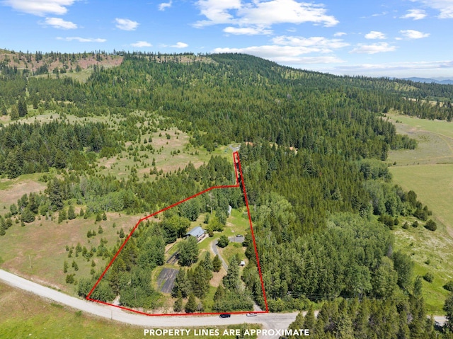 12 Country Ln, Newport, WA 99156 - photo 42