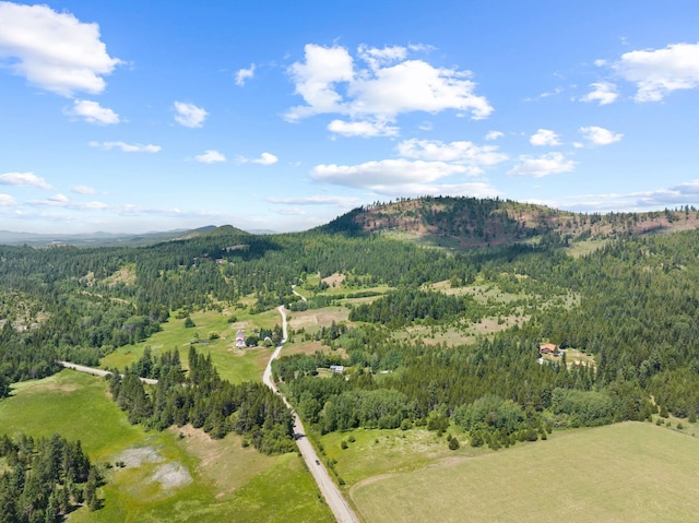 12 Country Ln, Newport, WA 99156 - photo 48