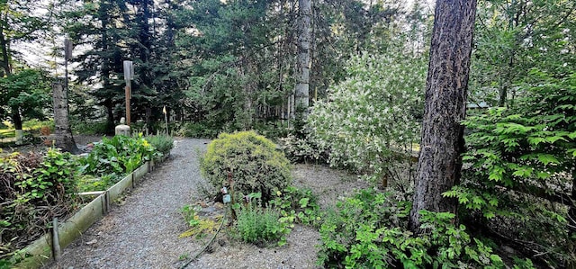 461 Old Leclerc Rdg, Cusick, WA 99119 - photo 22