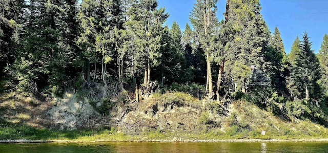 461 Old Leclerc Rdg, Cusick, WA 99119 - photo 26