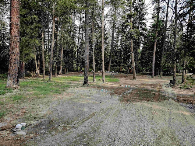 461 Old Leclerc Rdg, Cusick, WA 99119 - photo 8