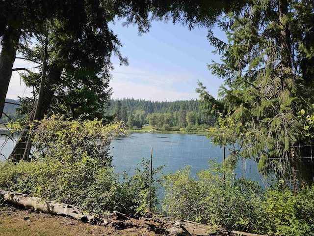 461 Old Leclerc Rdg, Cusick, WA 99119 - photo 9