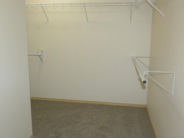 6809 S W Terrace St, Cheney, WA 99004 - photo 17