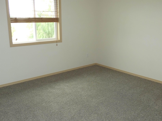 6809 S W Terrace St, Cheney, WA 99004 - photo 18
