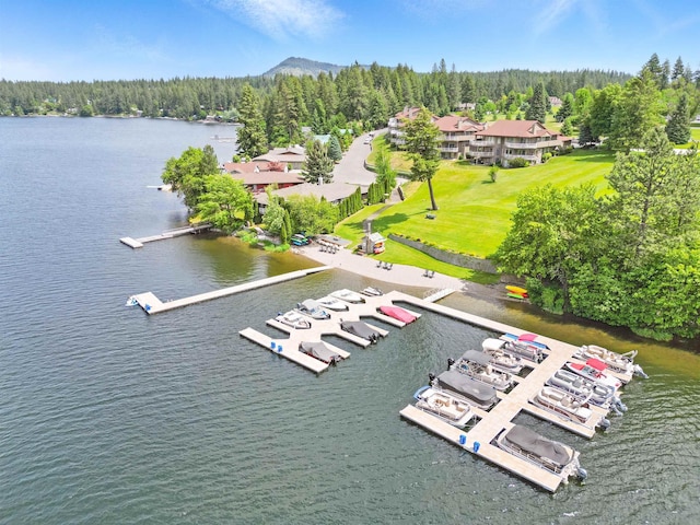 5159 W Village Blvd, Rathdrum, ID 83858 - bird's eye view of a forest and a nearby body of water