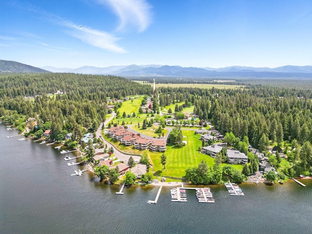 5159 W Village Blvd, Rathdrum, ID 83858 - bird's eye view of a water and mountain view