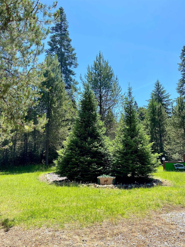 281 Willys Way, Newport, WA 99156 - photo 33