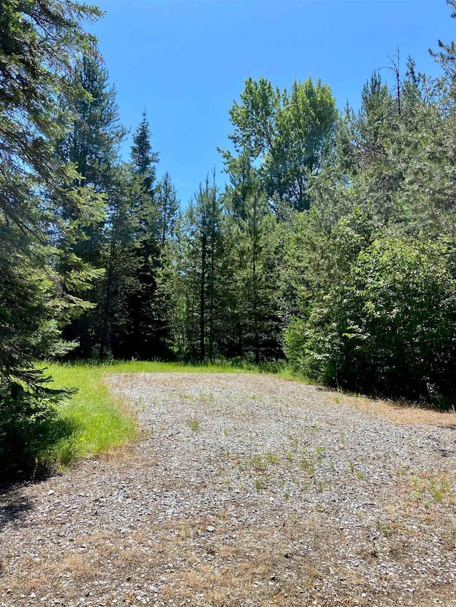 281 Willys Way, Newport, WA 99156 - photo 41
