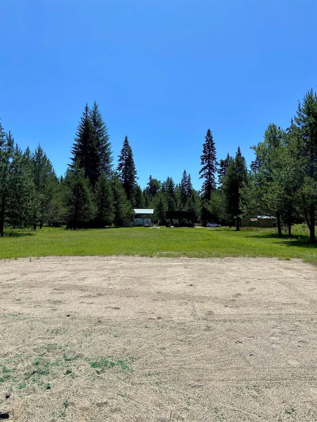 281 Willys Way, Newport, WA 99156 - photo 8
