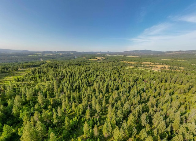 8414 E Lodge Pole Ln, Chattaroy, WA 99003