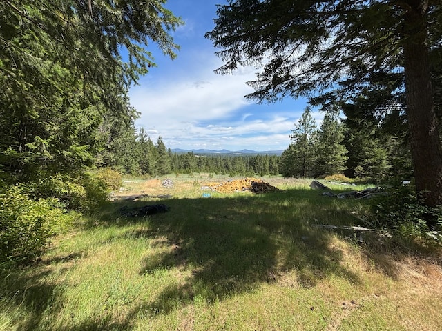 8414 E Lodge Pole Ln, Chattaroy, WA 99003