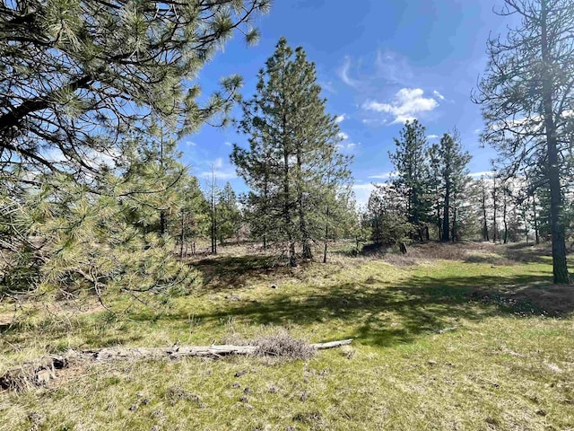 249015 W Kitt Rd, Reardan, WA 99029 - photo 1