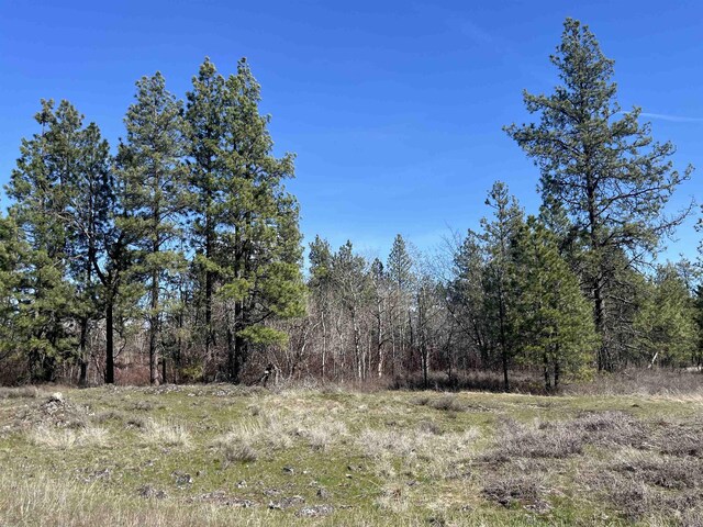 249015 W Kitt Rd, Reardan, WA 99029 - photo 2