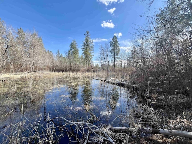 249015 W Kitt Rd, Reardan, WA 99029 - photo 12