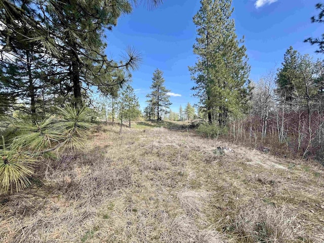 249015 W Kitt Rd, Reardan, WA 99029 - photo 18