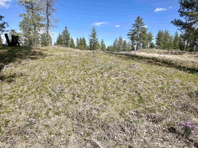 249015 W Kitt Rd, Reardan, WA 99029 - photo 19