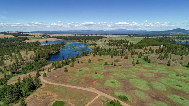 249015 W Kitt Rd, Reardan, WA 99029 - photo 3