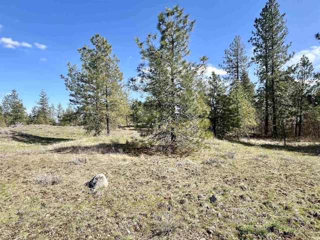 249015 W Kitt Rd, Reardan, WA 99029 - photo 21