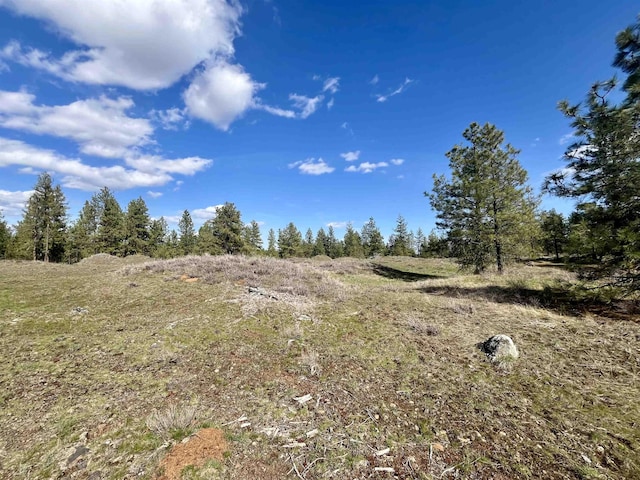 249015 W Kitt Rd, Reardan, WA 99029 - photo 22