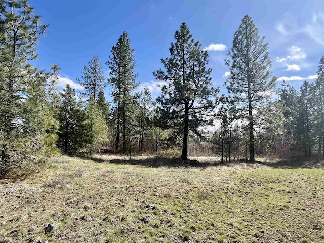 249015 W Kitt Rd, Reardan, WA 99029 - photo 23