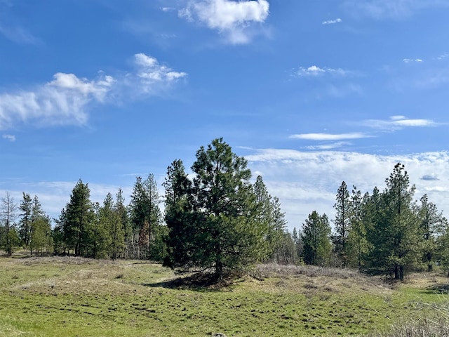 249015 W Kitt Rd, Reardan, WA 99029 - photo 25