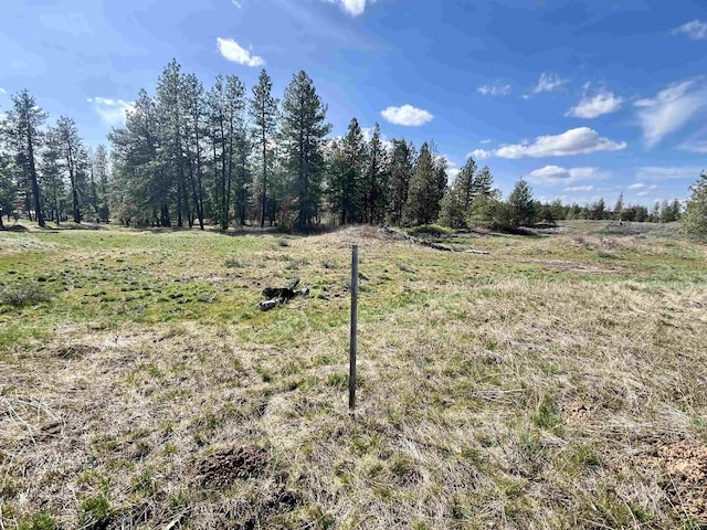 249015 W Kitt Rd, Reardan, WA 99029 - photo 27