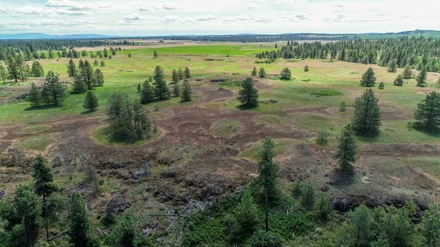 249015 W Kitt Rd, Reardan, WA 99029 - photo 4
